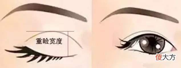 【时尚一点】碰瓷刘亦菲还全网好评,姐这张脸真是集天地精华了吧?!