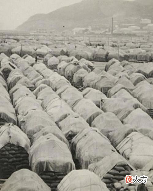 【历史故事】老照片：1924年的大连港，在后续岁月中成为远东大港