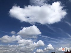 【爱历史】“明日六月六,三午晒龙衣,九戌定年景”,明日下雨,有啥预兆?
