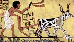 【爱历史】中国古代的血吸虫病是怎么产生的？