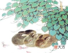 属兔人养鱼有什么讲究
