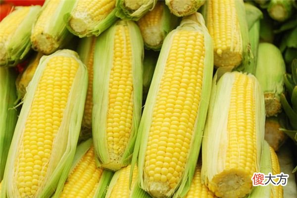 梦见玉米、包谷_做梦梦到玉米、包谷是什么意思