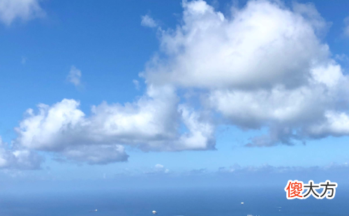 2019年属鼠的财运在哪个方向最好