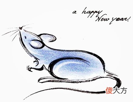 属鼠人家里摆放什么好