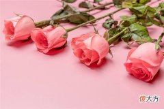 梦见花朵、鲜花_做梦梦到花朵、鲜花是什么意思