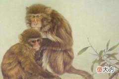 属猴男人的性格特点有哪些