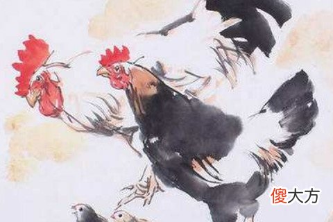 属鸡男人的性格特点有哪些
