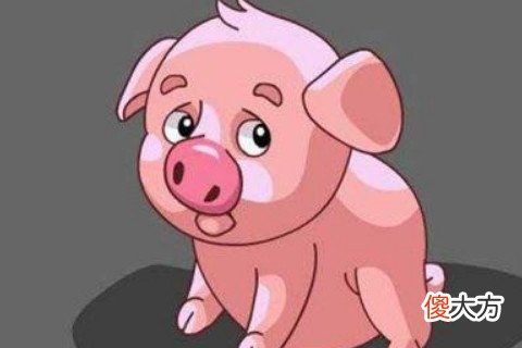 属猪男人的性格特点有哪些
