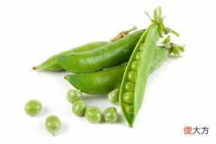 梦见豆荚_做梦梦到豆荚是什么意思