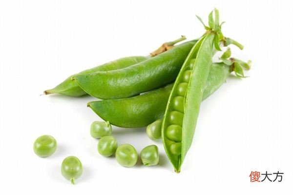 梦见豆荚_做梦梦到豆荚是什么意思