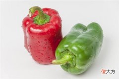 梦见青椒、菜椒_做梦梦到青椒、菜椒是什么意思
