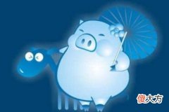 男人属猪命运如何