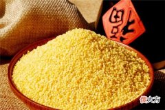 梦见小米、粟米_做梦梦到小米、粟米是什么意思