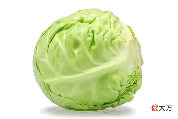 梦见圆白菜_做梦梦到圆白菜是什么意思