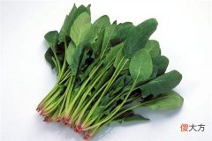 梦见菠菜_做梦梦到菠菜是什么意思