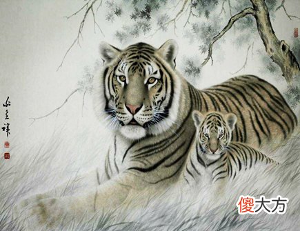 生肖虎哪个月份最苦