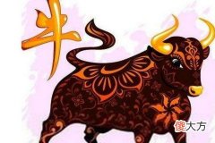 属牛的人性格和脾气