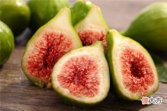 梦见无花果_做梦梦到无花果是什么意思