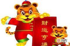 什么样的男人吸引属虎女