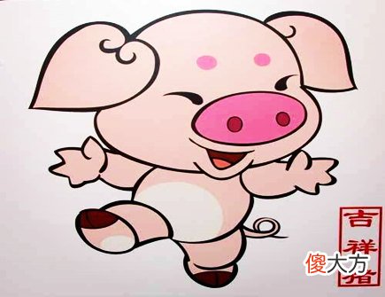 生肖属猪的人长相如何