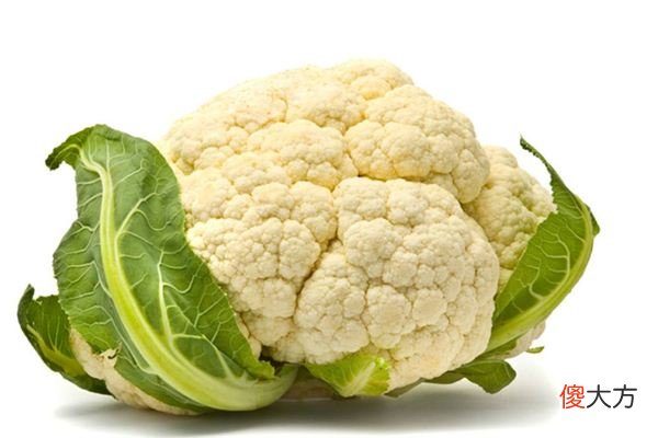 梦见菜花_做梦梦到菜花是什么意思
