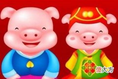 什么样的男人吸引属猪女