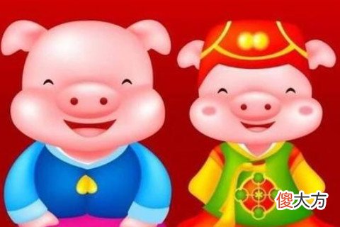 什么样的男人吸引属猪女