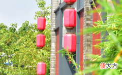 2019年属鼠的适合养什么植物转运
