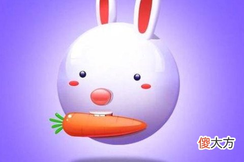 面对爱情属兔人最怕什么