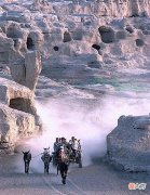 【爱历史】老照片：1988年的新疆，苍茫荒凉的背后是生命的坚强