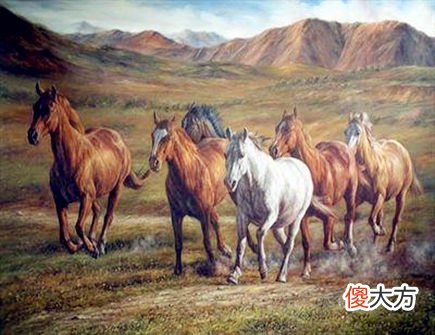 属马2020年的贵人有哪些