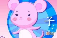 属鼠最让人反感的特点