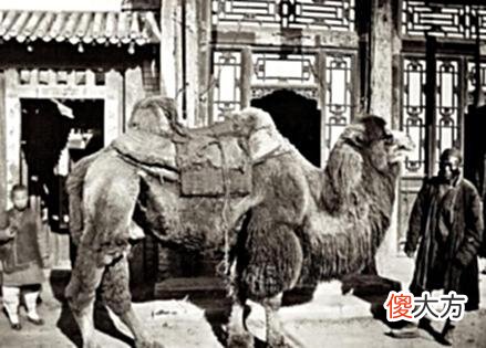 【爱历史】老照片：1879年的北京城市面貌