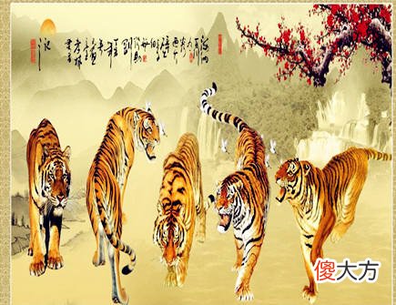 生肖属虎的人长相如何