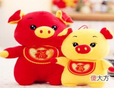 属猪遇小人怎么办