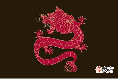 属龙人在哪年运气最好