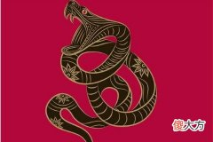 属蛇人在哪年运气最好