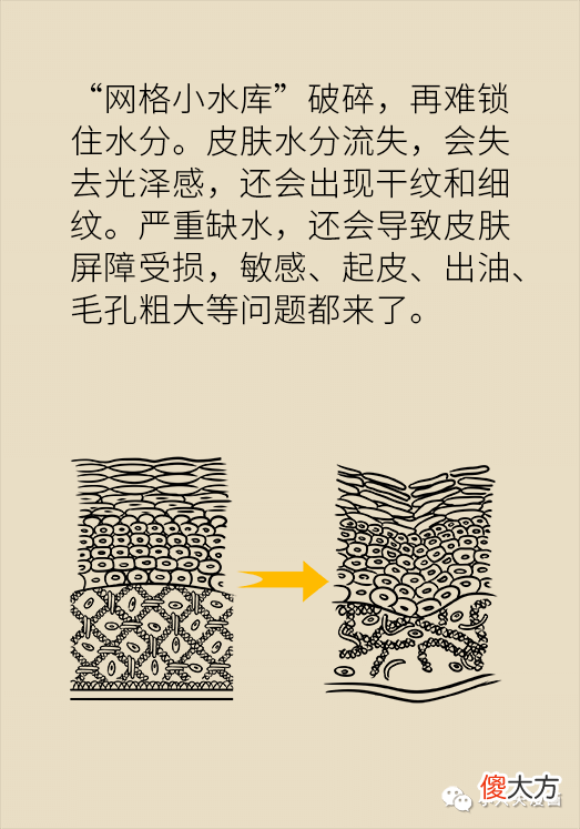 【就爱时尚】脸塌、脸垮、长皱纹，流失的胶原蛋白要怎么补才靠谱？