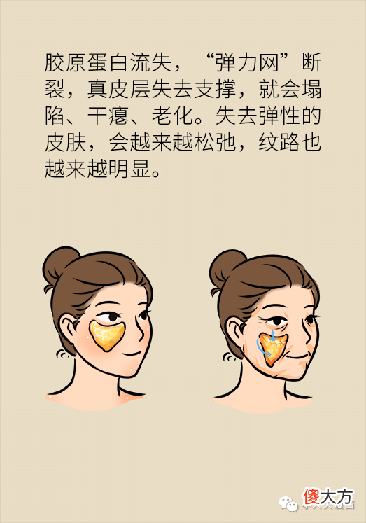 【就爱时尚】脸塌、脸垮、长皱纹，流失的胶原蛋白要怎么补才靠谱？