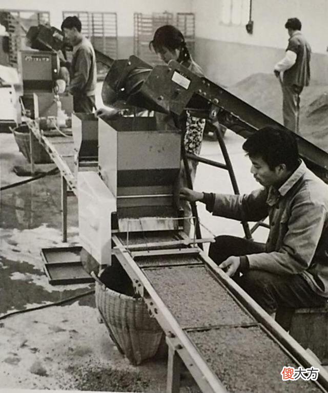 【历史故事】老照片：70年代的安徽当涂，农民劳作的场景
