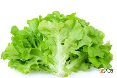 梦见生菜_做梦梦到生菜是什么意思