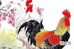 在辰时出生鸡宝宝时辰出生好不好