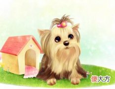 生肖狗哪个月份最苦