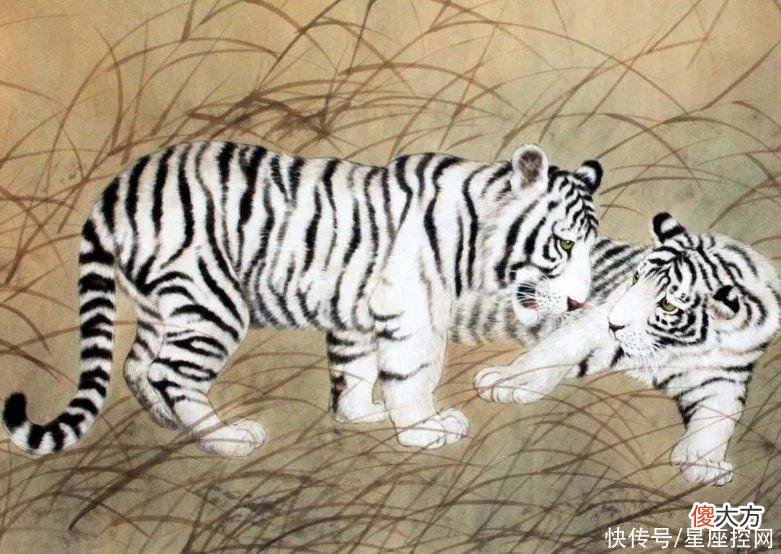 【十二星座】前半生受苦，后半生舒适的生肖，年纪越大贵人越多