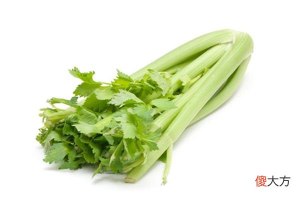 梦见欧芹、西芹_做梦梦到欧芹、西芹是什么意思