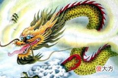 女属龙的婚姻配对