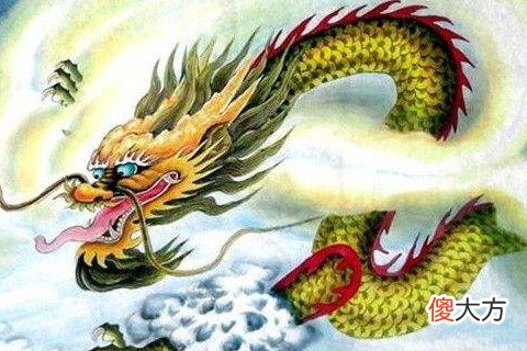 女属龙的婚姻配对