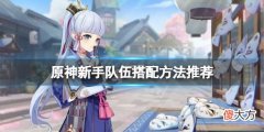 原神新手队伍怎么搭配_新手队伍搭配方法推荐