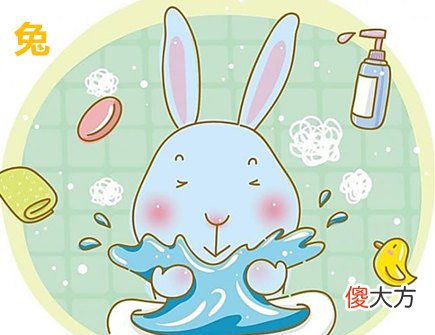 属兔人家里摆放什么好