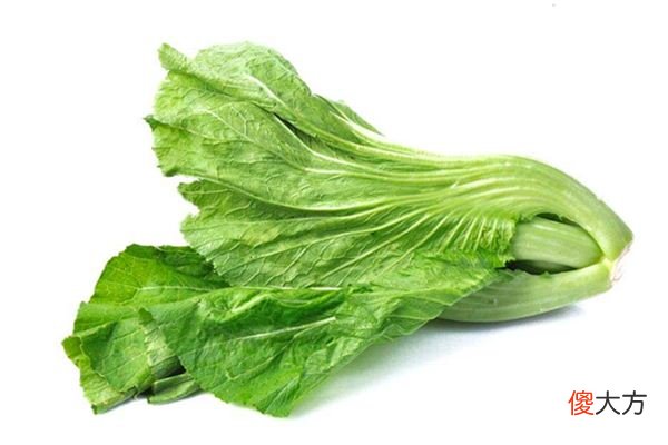 梦见芥菜_做梦梦到芥菜是什么意思